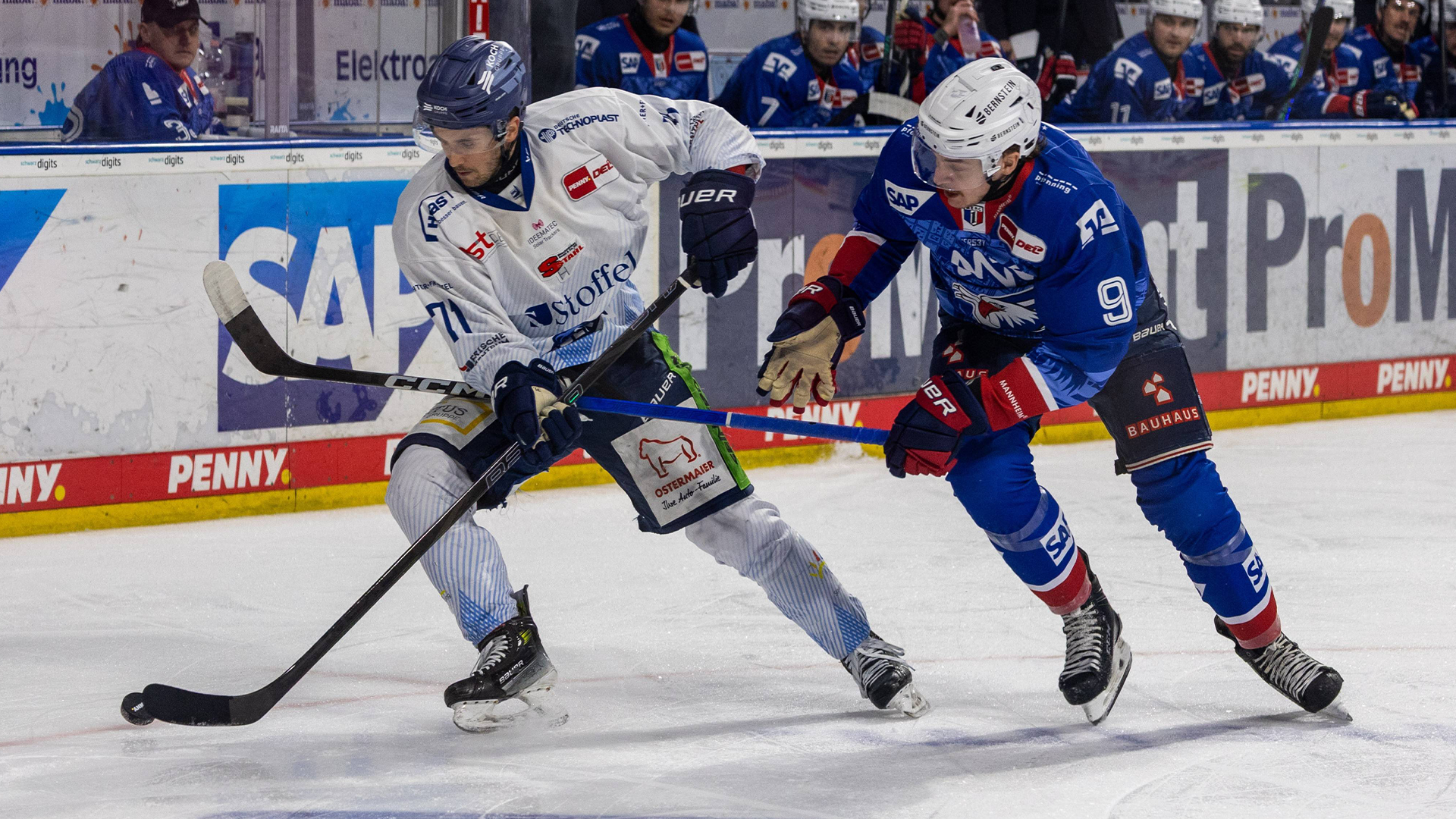 Adler Mannheim gg. Straubing Tigers